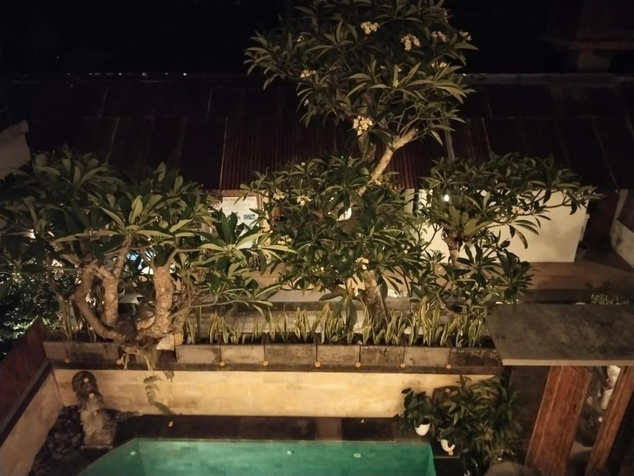 Danu House Ubud Δωμάτιο φωτογραφία